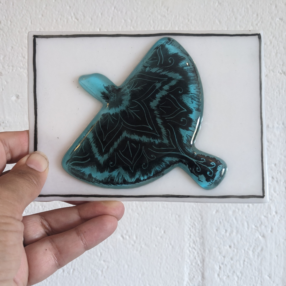 Dear Salote... Dear Salote...